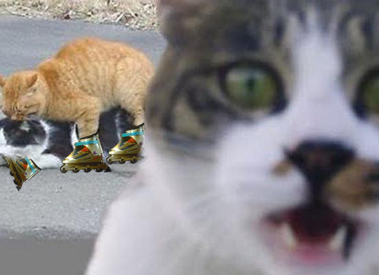 tnIdshi.png