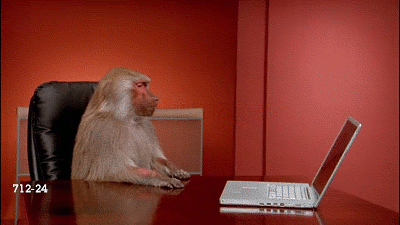 L7cYpO6.gif