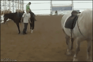 Jumping-mount-onto-horse.gif