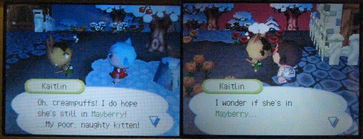 mama_cat_goes_nuts.jpg
