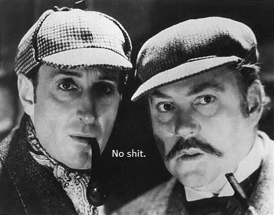 no-shit-sherlock.jpg