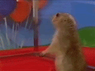 0cnJVz2.gif