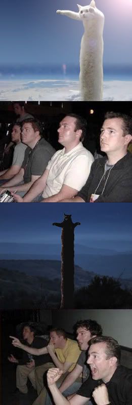 1161345807338.jpg