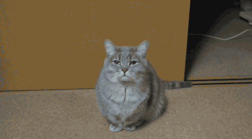 tumblr_max570hfBX1rn7oi8o1_500.gif