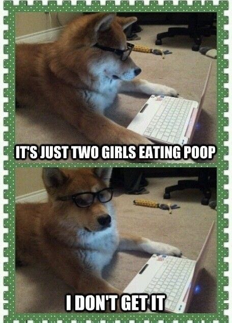 dogdontget_zps1xyimwmg.jpg