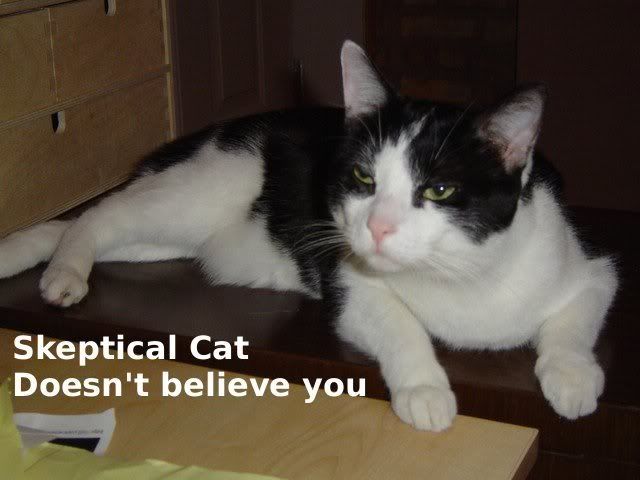 SkepticalCat.jpg