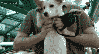 eoNiq.gif