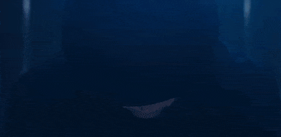 Season 3 Trailer GIF by Paramount+