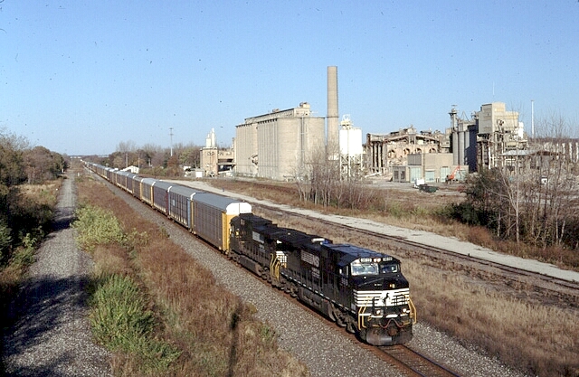 MattC-8.JPG