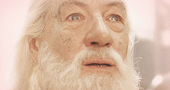 The-Hobbit-gifs-the-hobbit-35209173-245-130.gif
