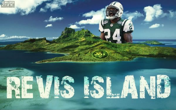 RevisIsland-Wallpapersmall.jpg