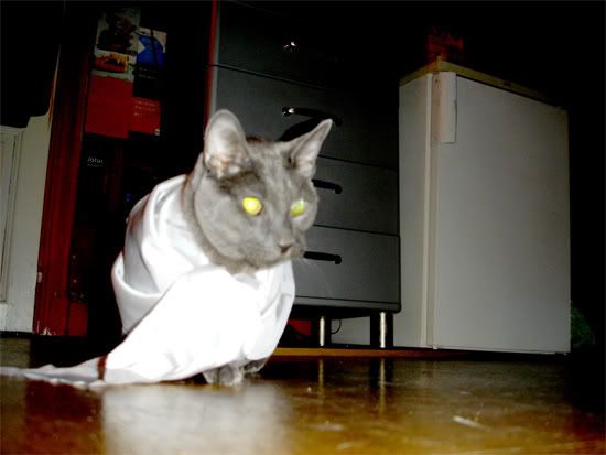 fitou2.jpg
