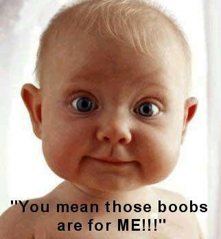 boobs-for-me.jpg