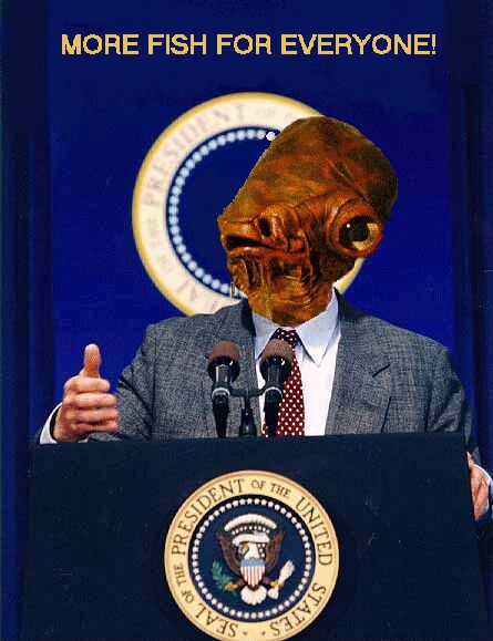 ackton.jpg