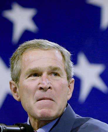 bushmean.jpg