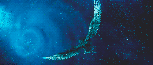 tumblr_m06ettvYZs1r07qp1.gif
