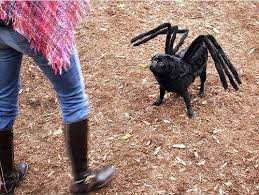 spider-pug.jpg