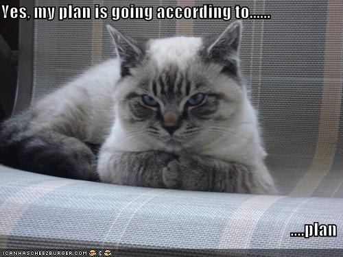 according-to-plan.jpg