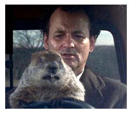 groundhog-day-movie-phil-driving-phil4.jpg