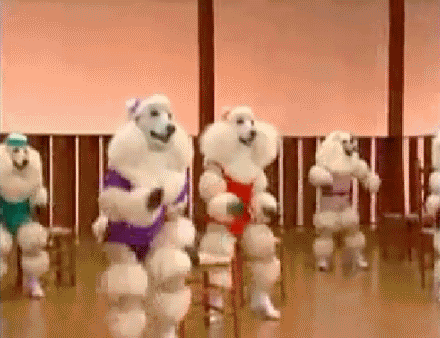 tumblr_mtztxzrbgX1s5e5bko1_500.gif