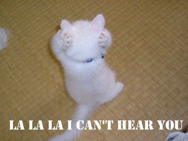 lalala_cant_hear_cat.jpg