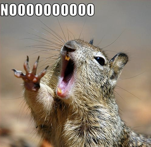 Nooooooo.png