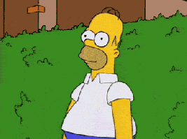 9tz7m7edz08x.gif