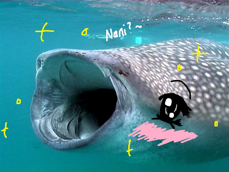 0zFmGkK.jpg