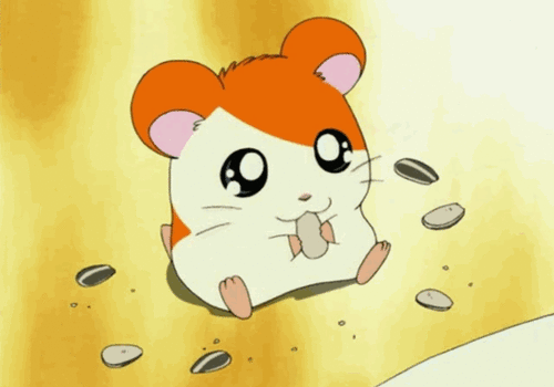 tumblr_n9upk51Pt11th54sho1_500.gif