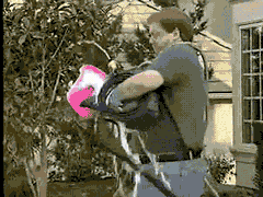 qpJa6.gif