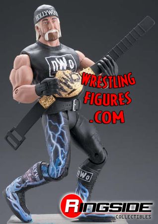 2005_CS8_hogan_nwo.jpg