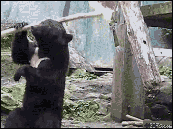 39.gif