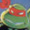 turtlesnes.png