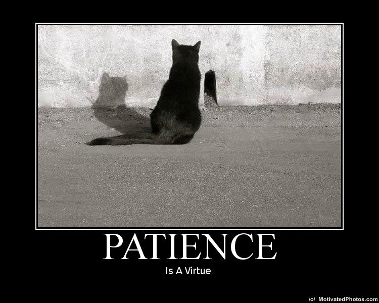 patience.jpg