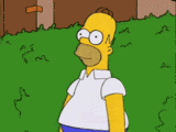 tumblr_lo2sns8a6d1qmbb3go1_250.gif