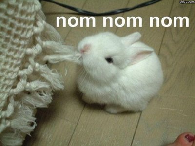 NomNomNom1.jpg