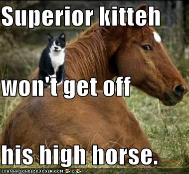 superior-kitteh-wont-get-off-his-high-horse.jpg