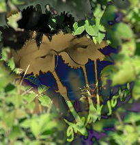 timbaldingbushes_zps607d6de5.png