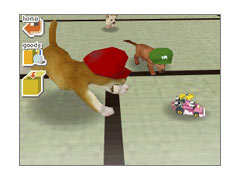 ss3.jpg