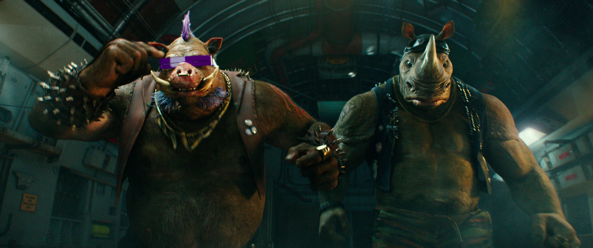 TMNT2-Bebop-and-Rocksteady.jpg