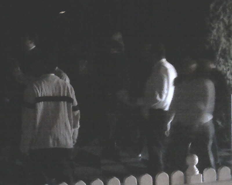 img135.jpg