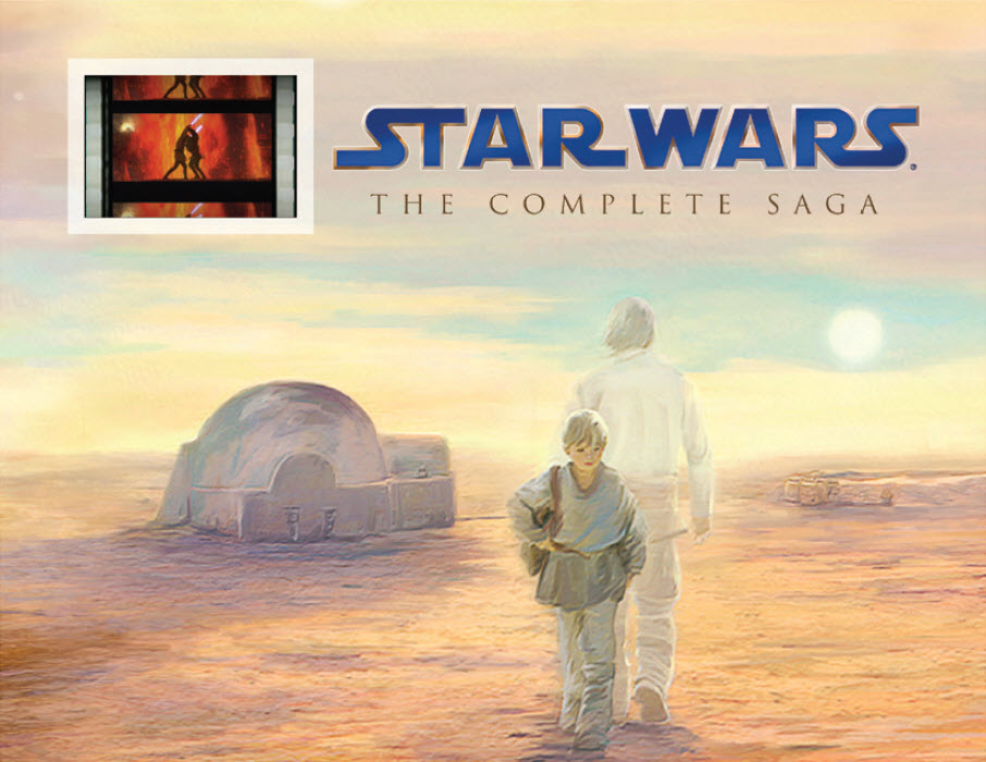 sw_limited_ed_senitype_front.jpg