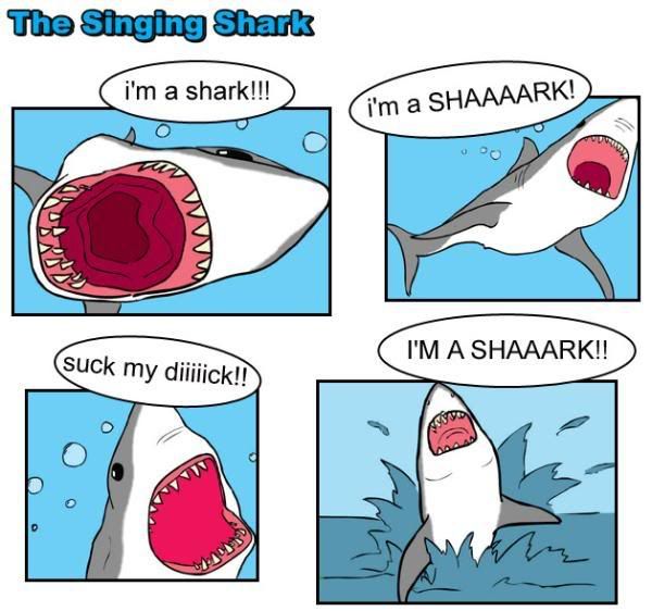 shark.jpg