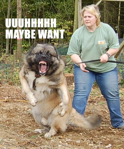 maybe-want.jpg