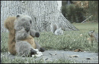 yy5hr.gif