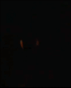 21.gif