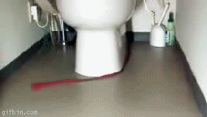 1234359538_2t13r12.gif