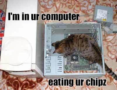 chipz.jpg