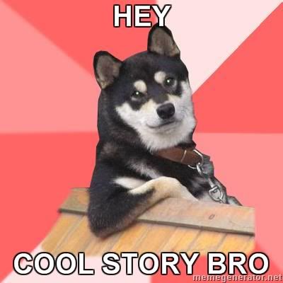 Cool-Dog-Hey-Cool-story-bro41.jpg