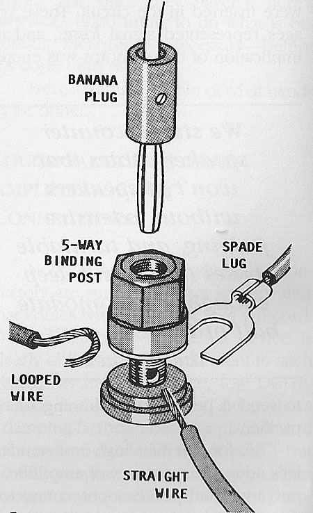 Standard-Fig2.jpg